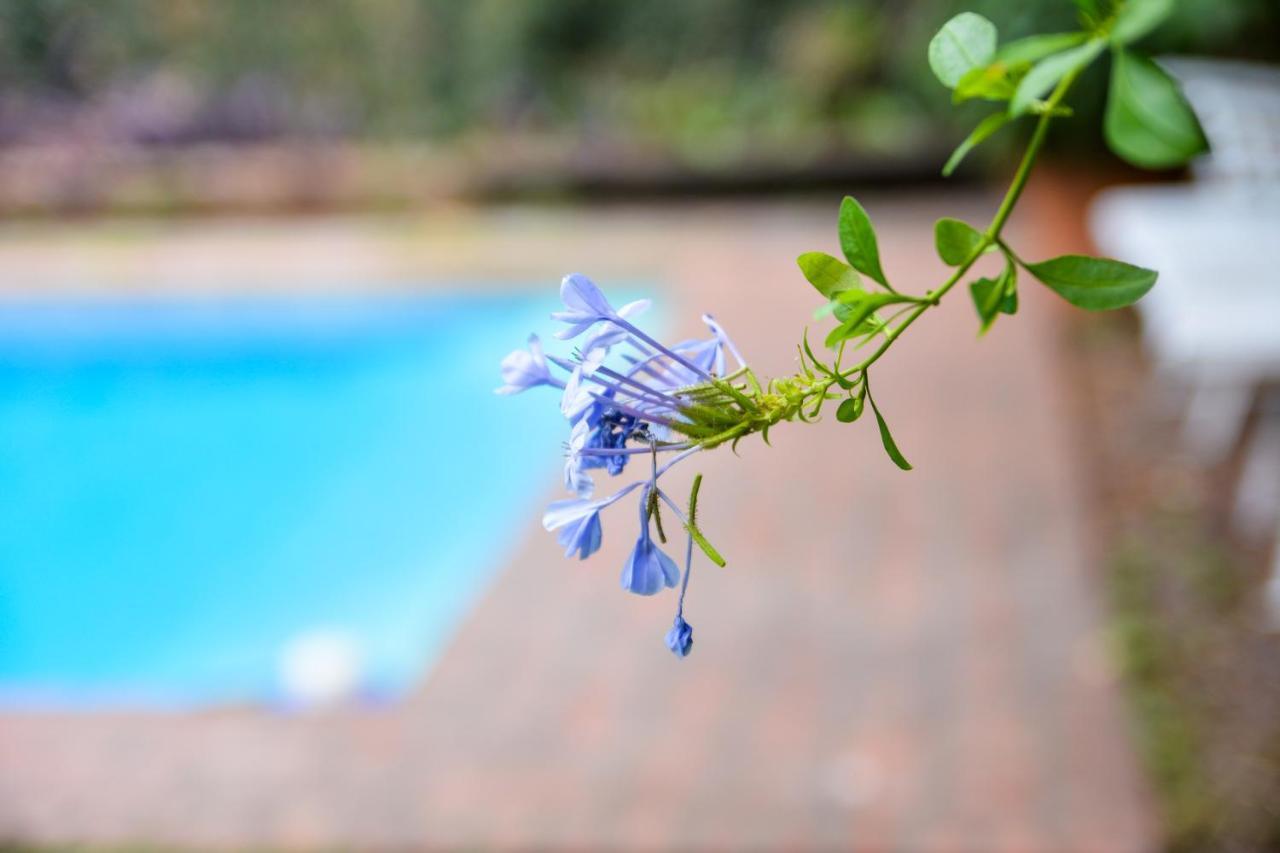 Hostel Posada Juan Ignacio ロサリオ エクステリア 写真